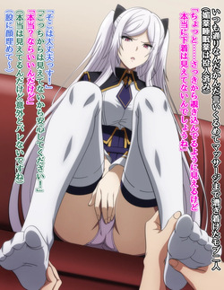 [しょーちゃん] モブにいろいろされるアレクシア page 3