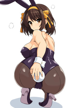 bunny haruhisan