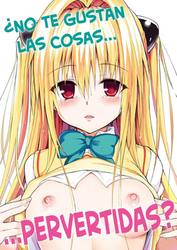 Ecchii no wa Kirai desu ka？- ¿No te Gustan las Cosas Pervertidas？