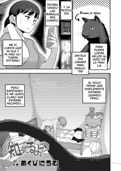 Shitteru Yo?｜¿Sabías qué？