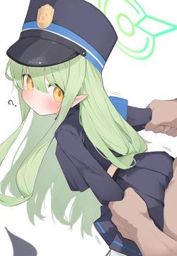 Mikozinn