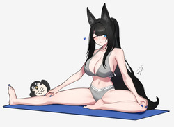 Hayabusa
