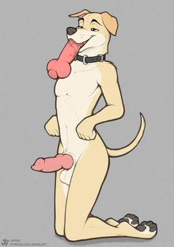 Good Boy