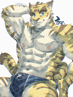 41raco Morenatsu Art Collection