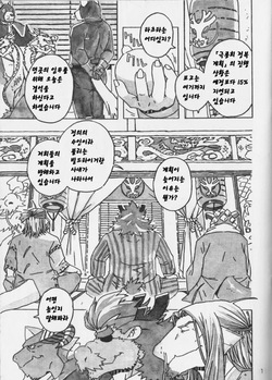 (C81) [Dragon Heart (gamma)] Choujuu Gasshin Build Tiger 9 | 초수합신 빌드 타이거 9 [Korean] page 2