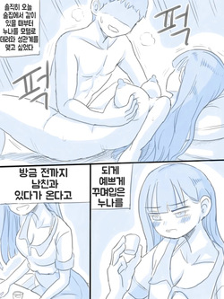 [nisino] 우리 누나 [Korean] page 9