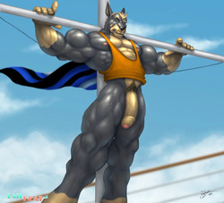 Braford Tail Heat Art page 7