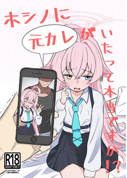 (C106) [いばらき屋 (いばてん)] ホシノに元カレがいたって本当ですか!? (ブルーアーカイブ) page 1