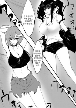 [Guroukurōbā] Kyonyū dōshi no naguriai | 일녀 vs 한녀 거유들의 개싸움 [Korean] [Digital] page 3