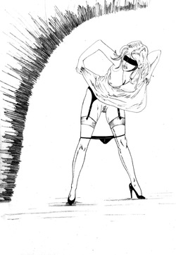 [Dominique Saint-Marc] La Star Dechue page 5