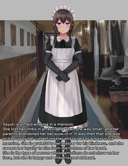 [Tsunakama] Limb-deficient Maid (petplay + outing) page 2