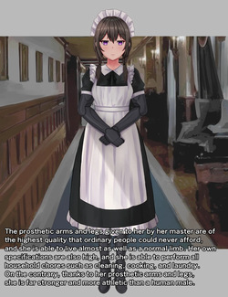 [Tsunakama] Limb-deficient Maid (petplay + outing) page 3