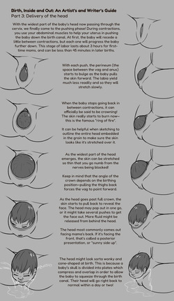 [Zendrid] Birth, Inside and Out: An Artist's and Writer's Guide page 3