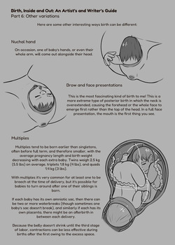 [Zendrid] Birth, Inside and Out: An Artist's and Writer's Guide page 6