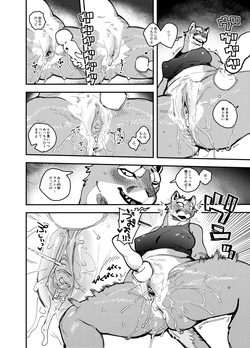 [INAX] pumas page 10