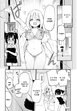 [Homura Subaru] Ojou-sama to Sono Shiyounin no Ojouji | 아가씨와 그 고용인의 사정 [Korean] [Digital] page 8