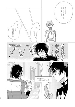 [いぶし貧 (namaGX)] そりゃしたいですよ！ (Gundam Seed Destiny) [Digital] page 9