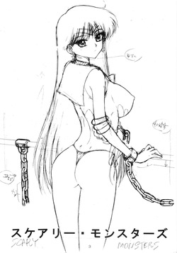 (C75) [BLACK DOG (Kuroinu Juu)] SCARY MONSTERS | 공포의 몬스터들 (Bishoujo Senshi Sailor Moon) [Korean] page 3