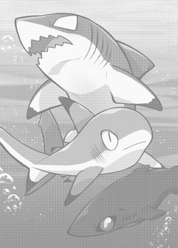 [Ika Guerrilla (Kageyama)] SHARKLEWD [Korean] [LWND] [Digital] page 2