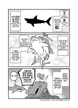 [Ika Guerrilla (Kageyama)] SHARKLEWD [Korean] [LWND] [Digital] page 4