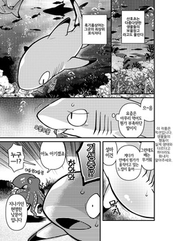[Ika Guerrilla (Kageyama)] SHARKLEWD [Korean] [LWND] [Digital] page 6