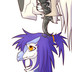 [Furaffinity] Kanevex page 3